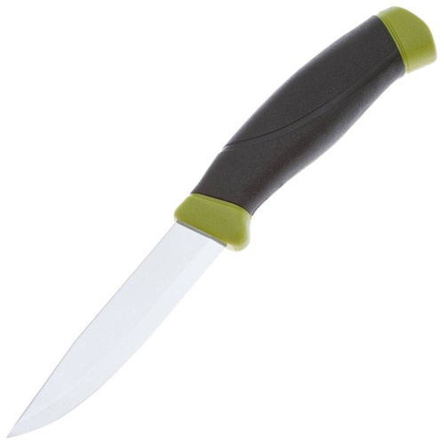 1239 Mora Companion